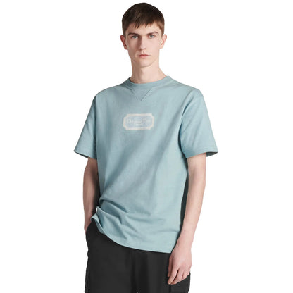 Camiseta Dior