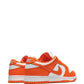 Nike SB Dunk Low Retro