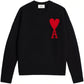 Jersey Ami Paris